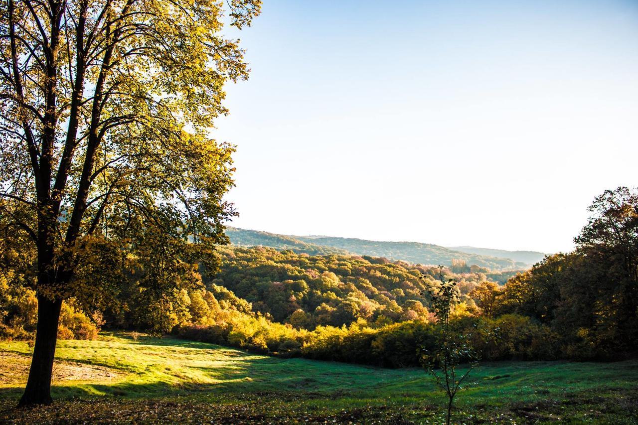 Etno Naselje Vrdnicka Kula Bed & Breakfast Vrdnik Dış mekan fotoğraf